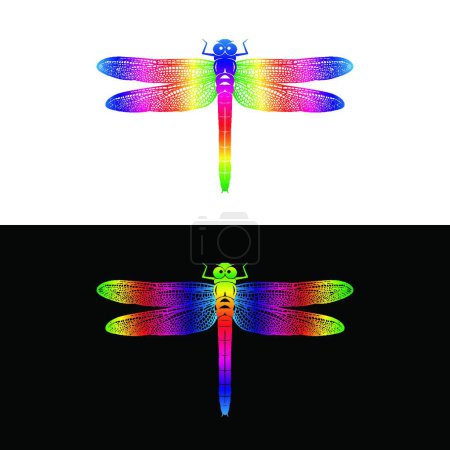 Illustration for "Vector of colorful dragonfly design on white background and  on " - Royalty Free Image