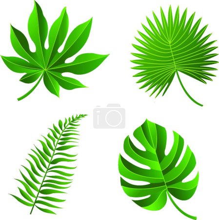 Illustration for Tropical Leaf, modern graphic illustration - Royalty Free Image