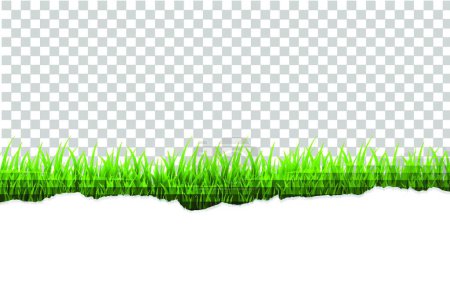 Ilustración de Frontera de hierba, ilustración vectorial diseño simple - Imagen libre de derechos