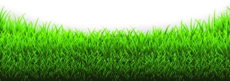 Illustration for Grass Panorama, vector illustration simple design - Royalty Free Image