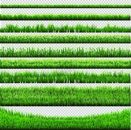Illustration for Illustration of the Grass Border Collection - Royalty Free Image