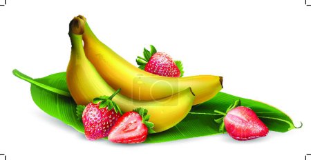 Ilustración de Ilustración del plátano y la fresa - Imagen libre de derechos