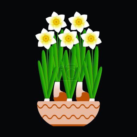Illustration for Narcissus bloom in a ceramic pot. Black background. - Royalty Free Image
