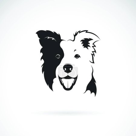 Ilustración de Vector de un perro de borde collie sobre fondo blanco. Mascota. Animales.. - Imagen libre de derechos