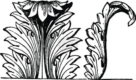 Téléchargez les illustrations : Acanthus Decoration est une décoration d'acanthe d'une architecture, dessin d'illustration vectorielle - en licence libre de droit