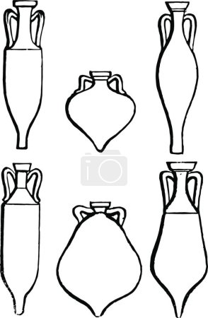 Téléchargez les illustrations : Amphorae est un récipient utilisé pour contenir du vin et de l'huile ou du miel, illustration vectorielle - en licence libre de droit