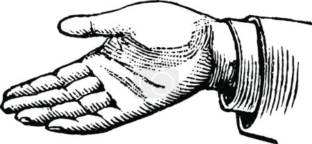 Téléchargez les illustrations : This picture represents the hands simple affirmation vintage engraving - en licence libre de droit