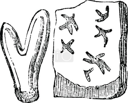 Ilustración de Lichen, ilustración vectorial simple grabada - Imagen libre de derechos