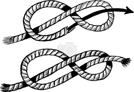 Illustration for Figure Eight Knot, vintage illustration. - Royalty Free Image