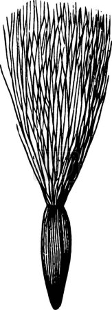 Ilustración de Ilustración de vectores vintage en blanco y negro Cáliz - Imagen libre de derechos
