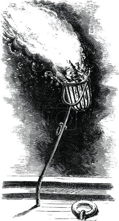 Illustration for "Steamboat Torch basket, vintage illustration." - Royalty Free Image