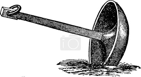 Téléchargez les illustrations : "Mushroom Anchor, vintage illustration." - en licence libre de droit