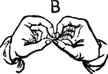 Illustration for B letter, engraved simple vector illustration - Royalty Free Image