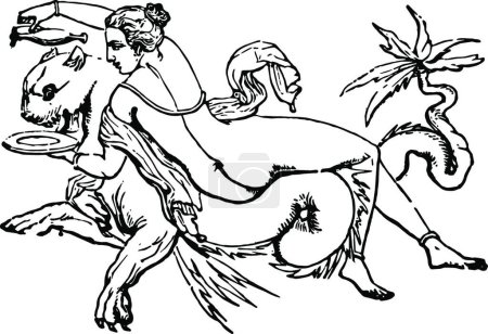 Ilustración de Periscelis, ilustración vectorial simple grabada - Imagen libre de derechos