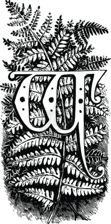 Illustration for Floral W letter, engraved simple vector illustration - Royalty Free Image