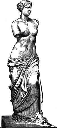 Illustration for Aphrodite, engraved simple vector illustration - Royalty Free Image