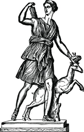 Téléchargez les illustrations : Diana le chasseur, illustration vectorielle simple gravée - en licence libre de droit