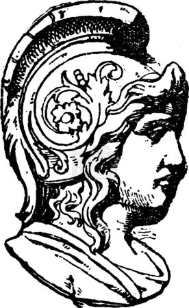 Ilustración de Cabeza de guerrero encontrada en medallones, ilustración vectorial simple grabada - Imagen libre de derechos