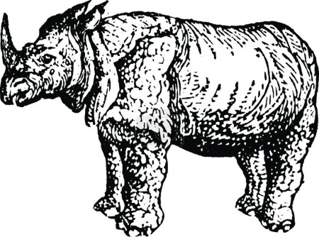 Ilustración de Rinoceronte, ilustración vectorial vintage - Imagen libre de derechos