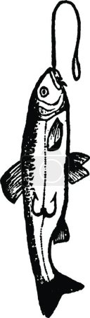 Téléchargez les illustrations : Illustration vectorielle vintage pêche - en licence libre de droit