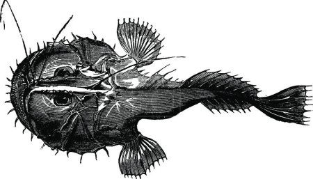 Ilustración de Pescador, ilustración vectorial vintage - Imagen libre de derechos