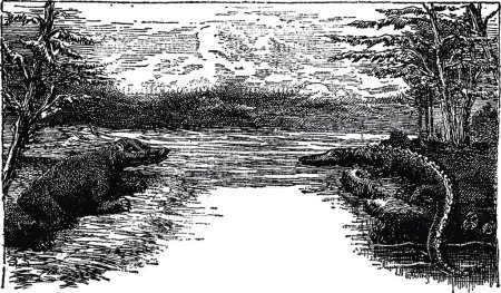 Ilustración de Triásico, grabado vintage, diseño simple vector - Imagen libre de derechos