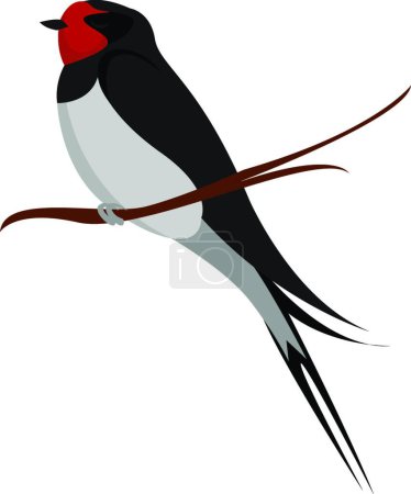 Illustration for "Little swallow, illustration, vector on white background." - Royalty Free Image
