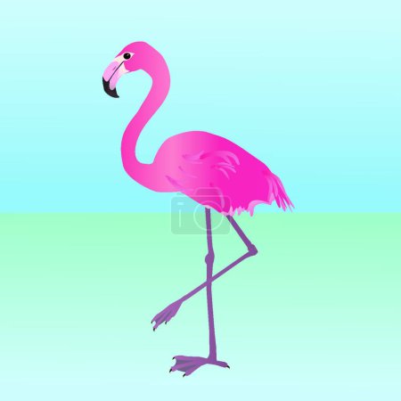 Illustration for Pink flamingo vector illustration - Royalty Free Image