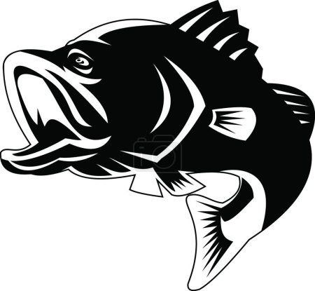 Téléchargez les illustrations : "Barramundi ou achigan à grande bouche poisson sautant noir et blanc rétro" - en licence libre de droit
