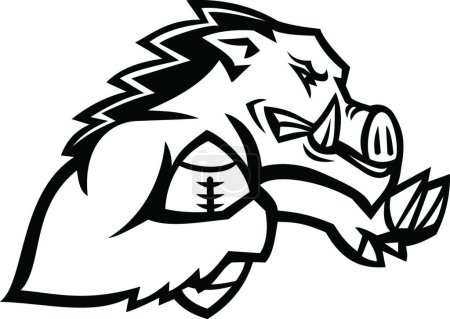Illustration for "Wild Boar or Razorback With American Football Ball Mascot Black and White" - Royalty Free Image