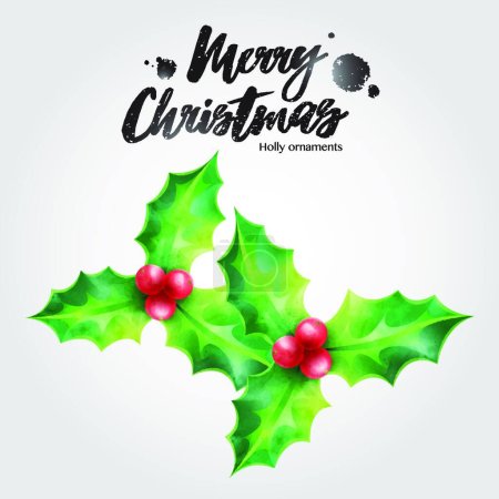 Illustration for "Merry Christmas greeting card, holly vector illustration Christmas ornaments" - Royalty Free Image