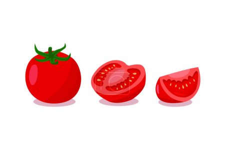 Illustration for "Tomatoes isolated on white background. Tomatoes cut in half on a white background." - Royalty Free Image