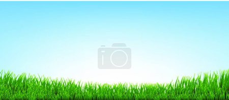Ilustración de "Frontera de hierba verde con fondo azul" - Imagen libre de derechos