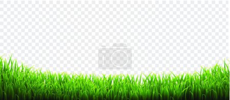 Ilustración de "Fondo transparente aislado de hierba verde" - Imagen libre de derechos