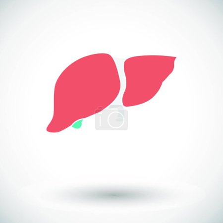Illustration for "Liver icon.", vector illustration - Royalty Free Image