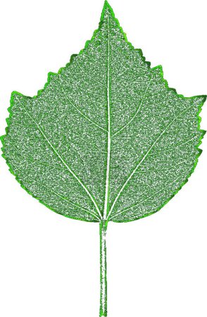 Téléchargez les illustrations : "Distress tree leaves, leaflet texture. Green and white grunge background. EPS 8 Illustration ." - en licence libre de droit