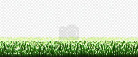 Ilustración de "Frontera de hierba verde con fondo transparente" - Imagen libre de derechos