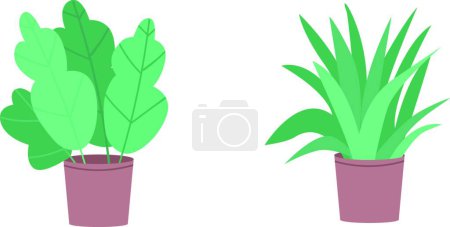 Illustration for "Tropical houseplants flat color vector object set" - Royalty Free Image