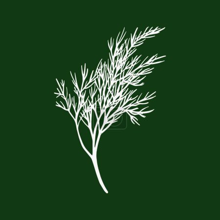 Ilustración de "Rama fresca de hinojo aislada sobre fondo verde oscuro. Manojo de eneldo. Ilustración vectorial." - Imagen libre de derechos