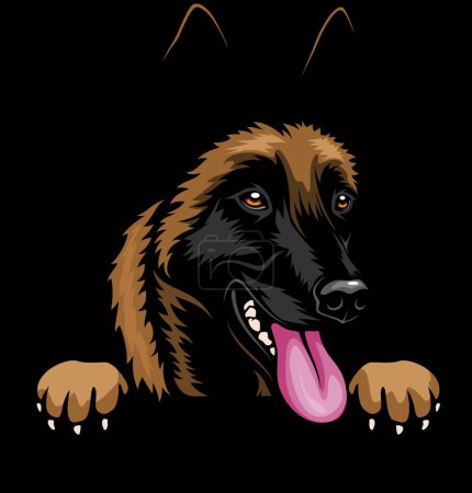 Téléchargez les illustrations : Belge Malinois - Color Peeking Dogs - tête de race isolée sur blanc - en licence libre de droit