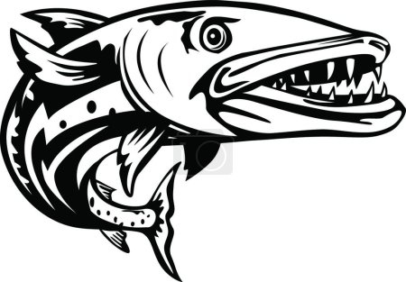 Téléchargez les illustrations : "Barracuda ou Sphyraena Barracuda Natation Up Woodcut Retro Noir et Blanc" - en licence libre de droit