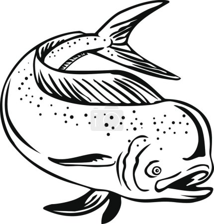 Illustration for "Dorado Mahi-mahi or Common Dolphinfish Jumping Up Retro Black and White" - Royalty Free Image