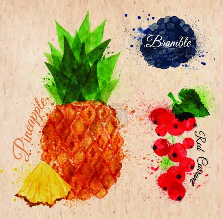 Illustration for Fruit watercolor pineapple, bramble kraft, vector illustration simple design - Royalty Free Image