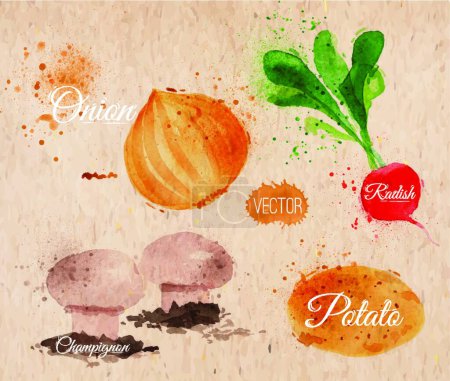 Ilustración de Verduras acuarela rábanos, cebollas, kraft, vector ilustración diseño simple - Imagen libre de derechos