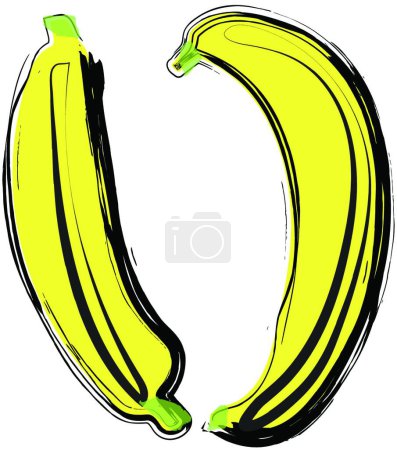 Illustration for Ripe organic bananas vector illustration - Royalty Free Image