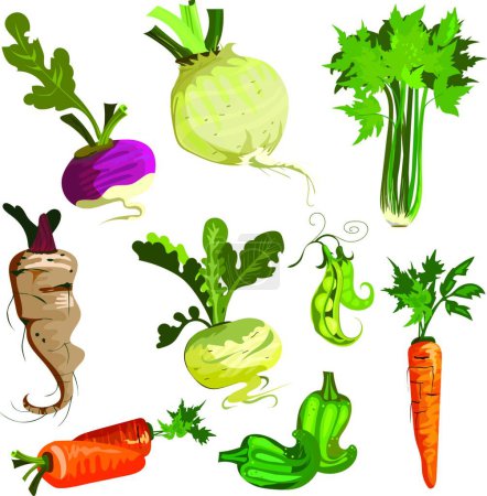Ilustración de Verduras de jardín conjunto, vector ilustración diseño simple - Imagen libre de derechos