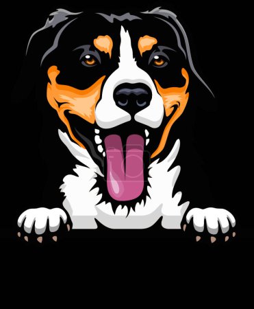Téléchargez les illustrations : Chien de montagne Head Entlebucher - race de chien. Image en couleur d'une tête de chien isolée sur un fond blanc - en licence libre de droit