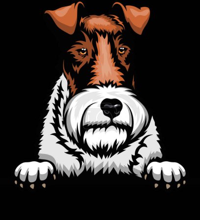 Illustration for Head Fox Terrier Wire - dog breed. Color image of a dogs head isolated on a white background - Royalty Free Image