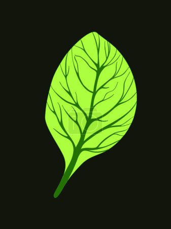 Ilustración de Hoja verde sobre fondo oscuro, ilustración vectorial diseño simple - Imagen libre de derechos