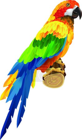 Illustration for Beautiful colorful parrot on twig, vector illustration simple design - Royalty Free Image